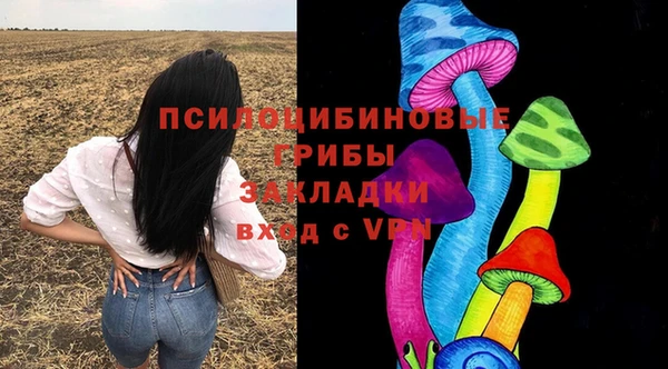 стафф Алексеевка