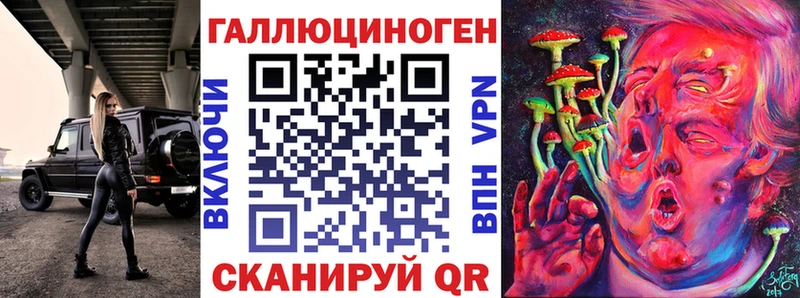 KRAKEN зеркало  Кола  Галлюциногенные грибы мицелий 