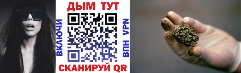 Каннабис гибрид  Кола 